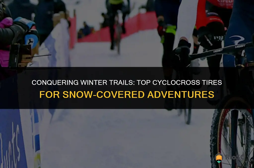 best cyclocross tires for snow