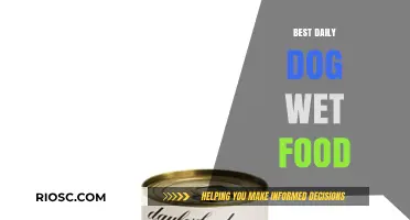 Top Picks for Your Pup: The Best Daily Dog Wet Food Options