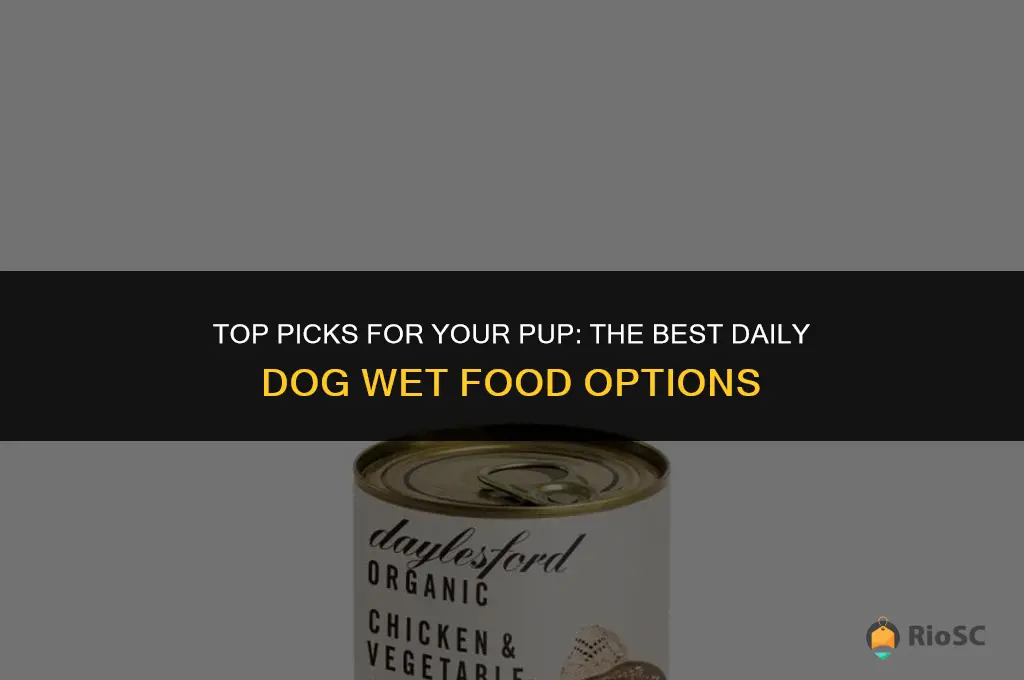 best daily dog wet food