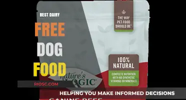 Top Picks for Dairy-Free Dog Food: Ensuring Your Pup's Health and Happiness
