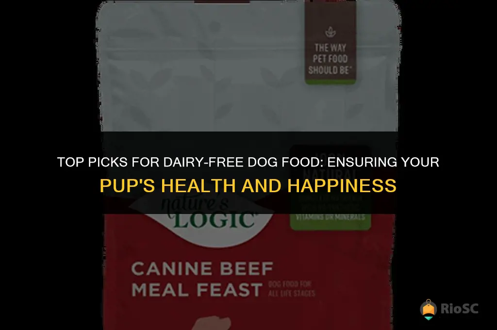 best dairy free dog food