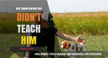 The Unteachable Hunter: How the Best Damn Hunting Dog Taught Me What He Couldn’t Learn