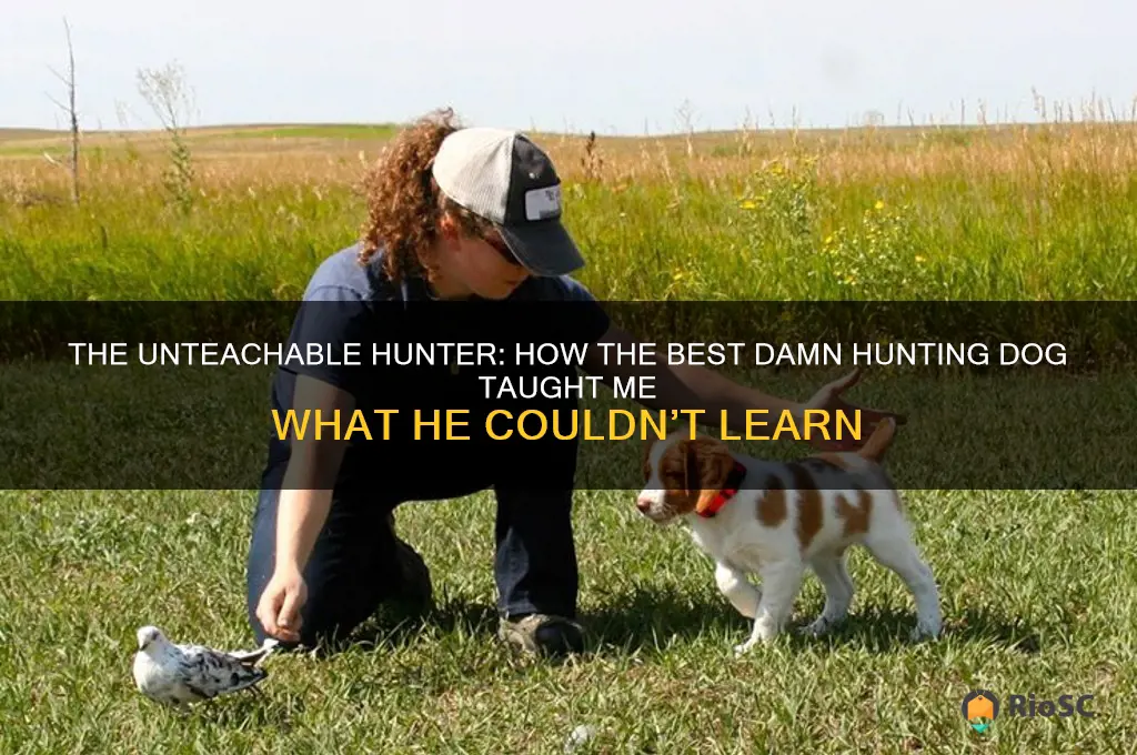 best damn hunting dog didn