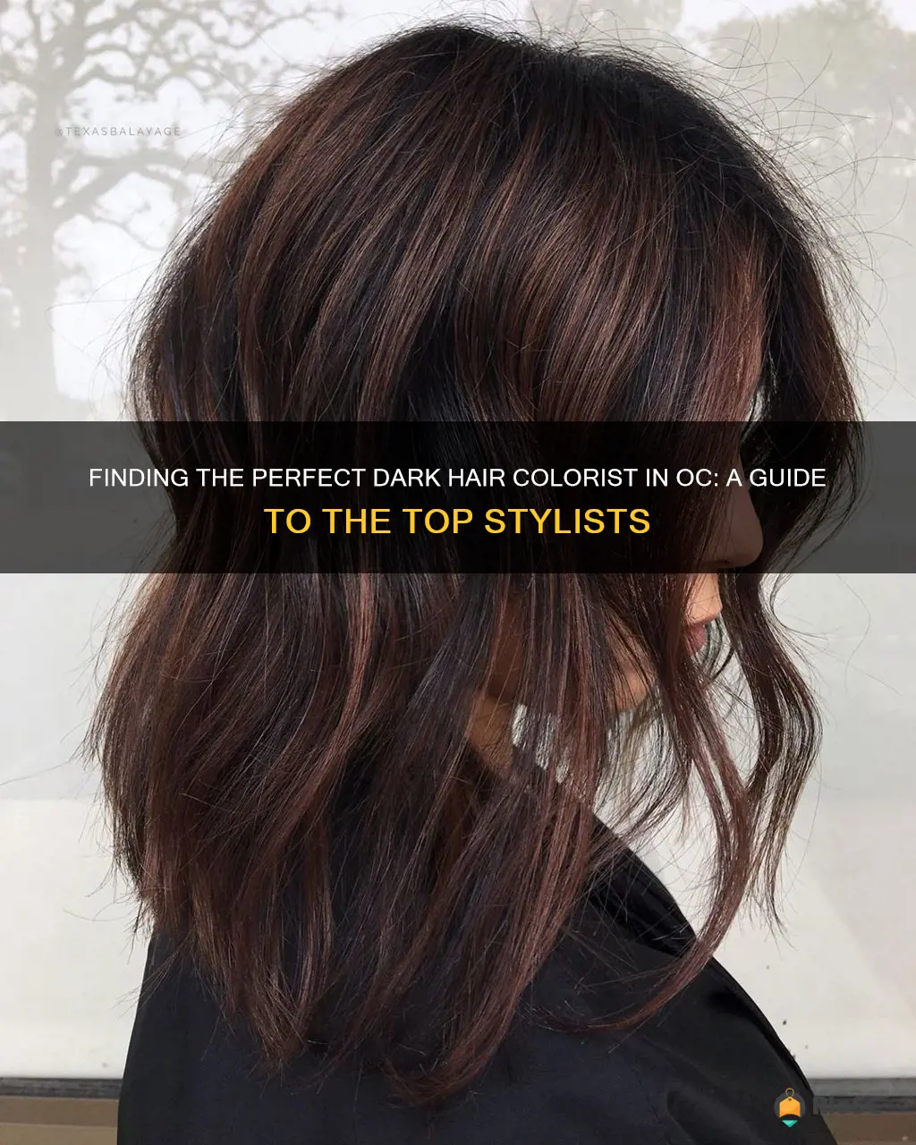 best dark hair colorist in oc