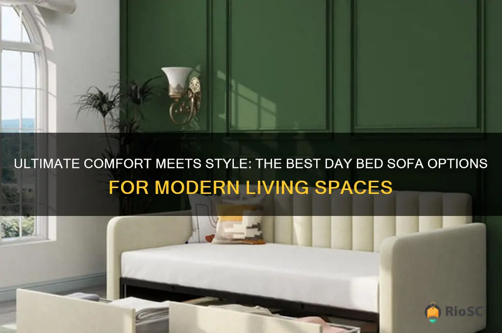 best day bed sofa