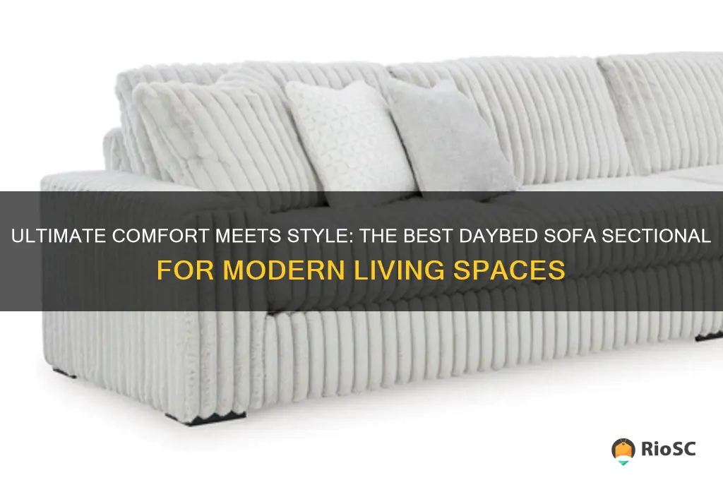 best daybed sofa sectional