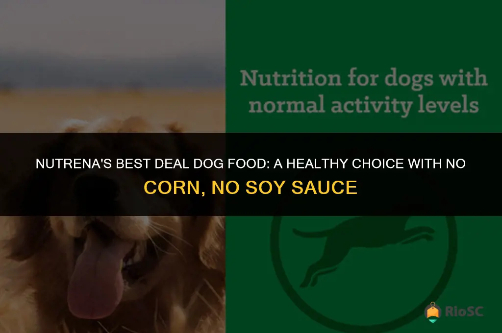 best deal dog food nutrena no corn no soy sauce