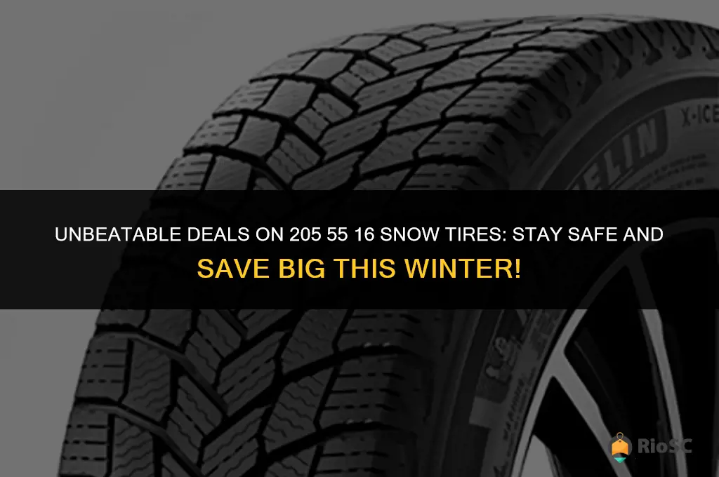 best deal for 205 55 16 snow tires