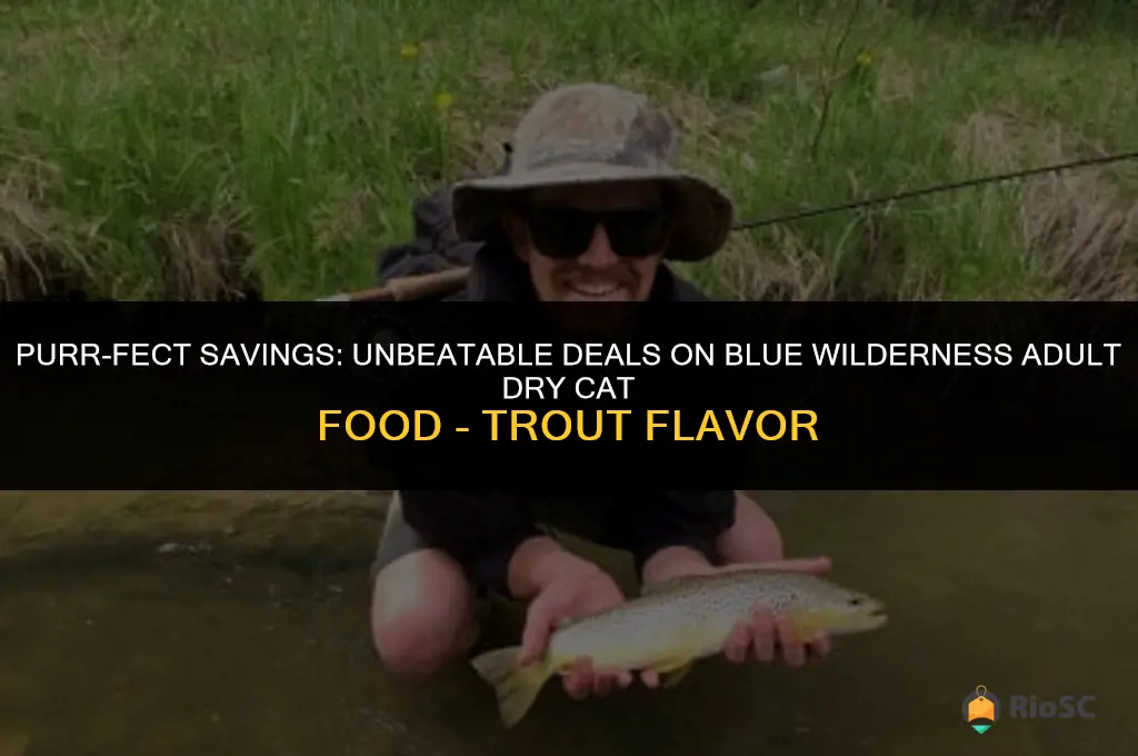 best deal on blue wilderness adult dry cat food trout