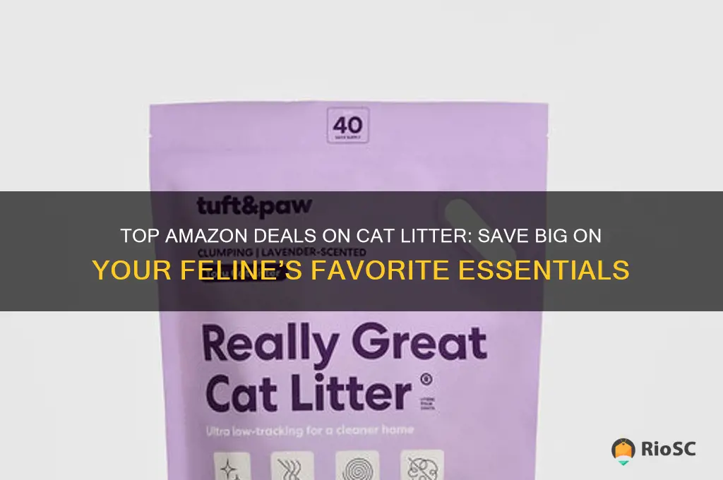 best deal on cat litter amazon