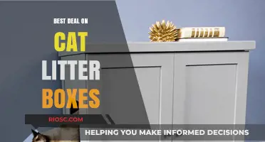 Top Picks for Affordable and High-Quality Cat Litter Boxes: Find the Best Deal Today!