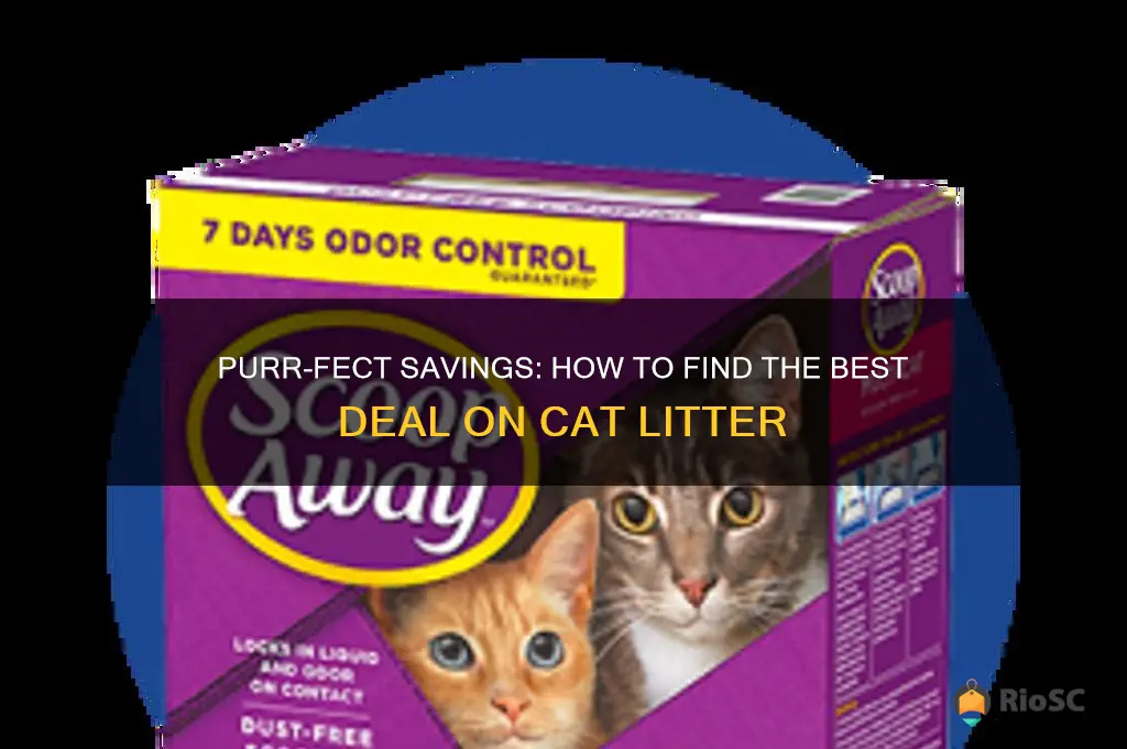 best deal on cat litter