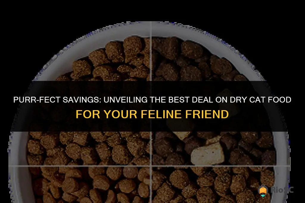 best deal on dry cat food