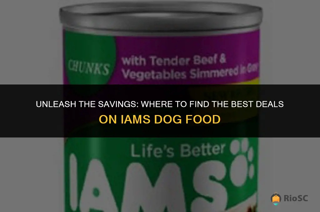 best deal on iams dog food