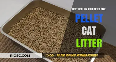 Eco-Friendly and Cost-Effective: Discover the Best Deal on Kiln Dried Pine Pellet Cat Litter