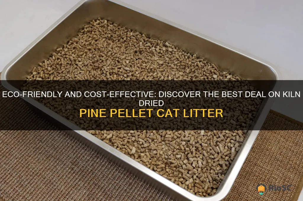 best deal on kiln dried pine pellet cat litter