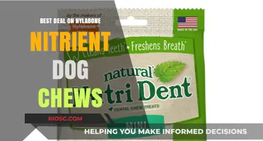 Unlock the Best Deal on Nylabone Nutrient Dog Chews: Save Big on Your Pup's Favorite Treat!