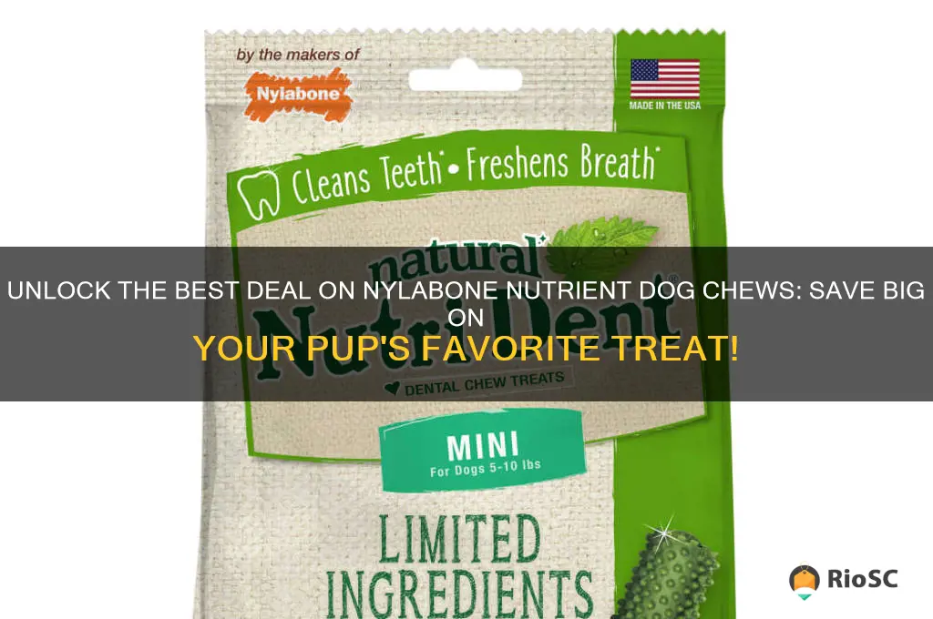 best deal on nylabone nitrient dog chews
