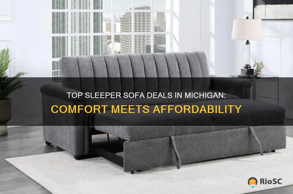 best deal on sleeper sofa in mich