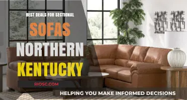 Top Sectional Sofa Deals in Northern Kentucky: Where to Find the Best Bargains