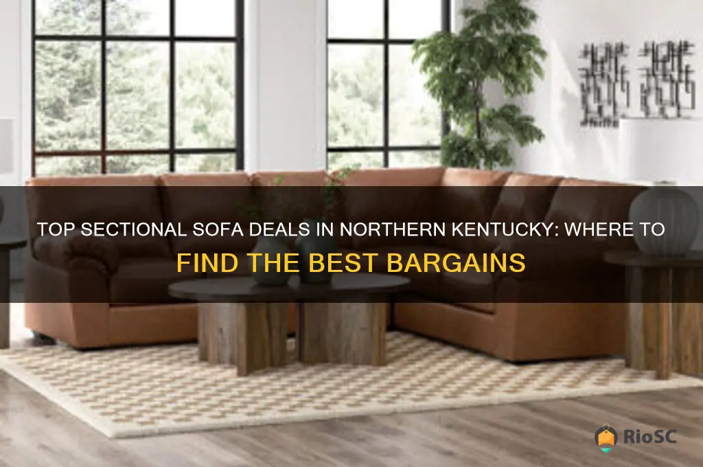 best deals for sectional sofas northern kentucky