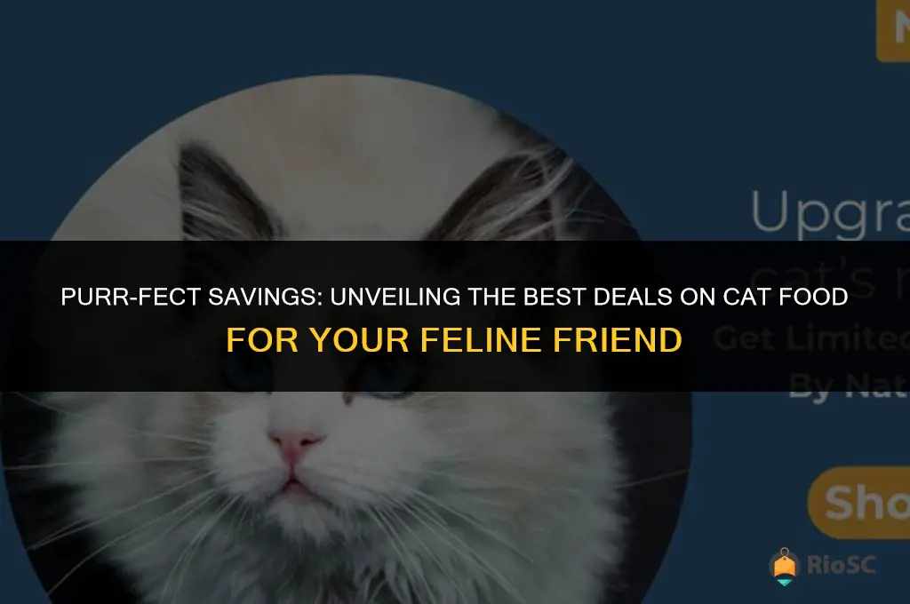 best deals on cat food