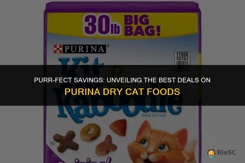 best deals on purina dry cat foods