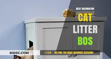 Stylish and Functional: Top Decorative Cat Litter Boxes to Enhance Your Home Décor