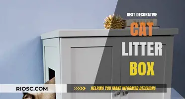 Stylish and Functional: Top Decorative Cat Litter Boxes to Enhance Your Home Décor