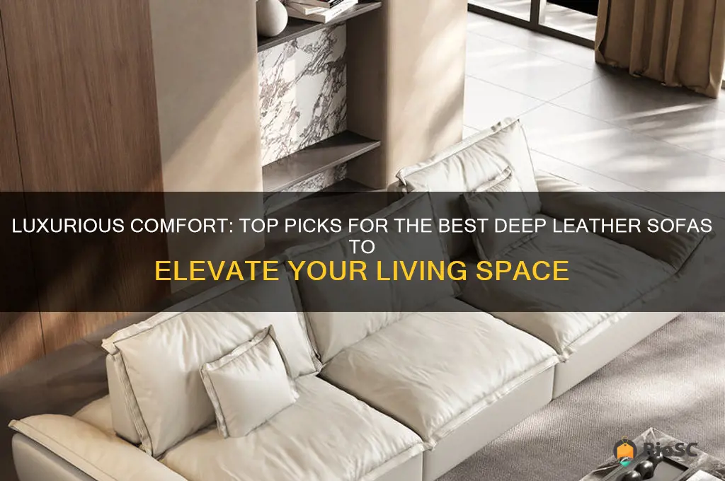 best deep leather sofas