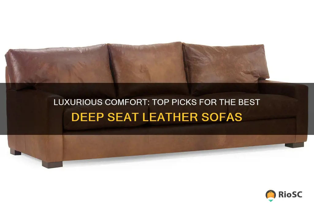 best deep seat leather sofa