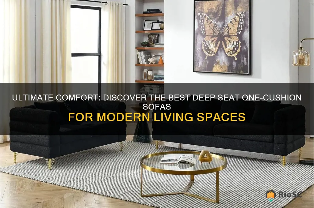 best deep seat one coushion sofa