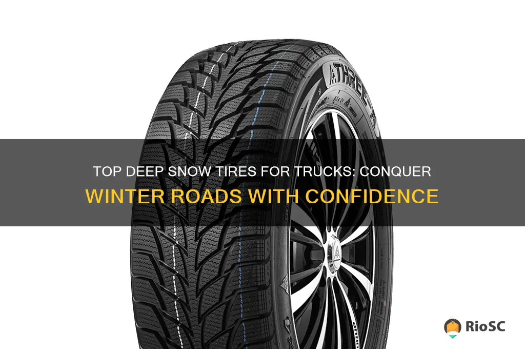best deep snow tires for trucks