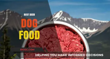 Top Picks for Your Canine Companion: The Best Deer Dog Food Options