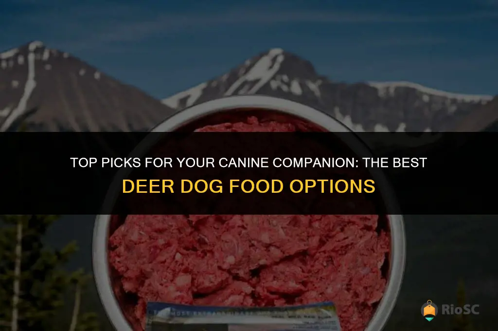 best deer dog food