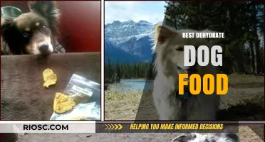 Exploring the Benefits of Dehydrated Dog Food: A Nutritional Guide for Pet Owners