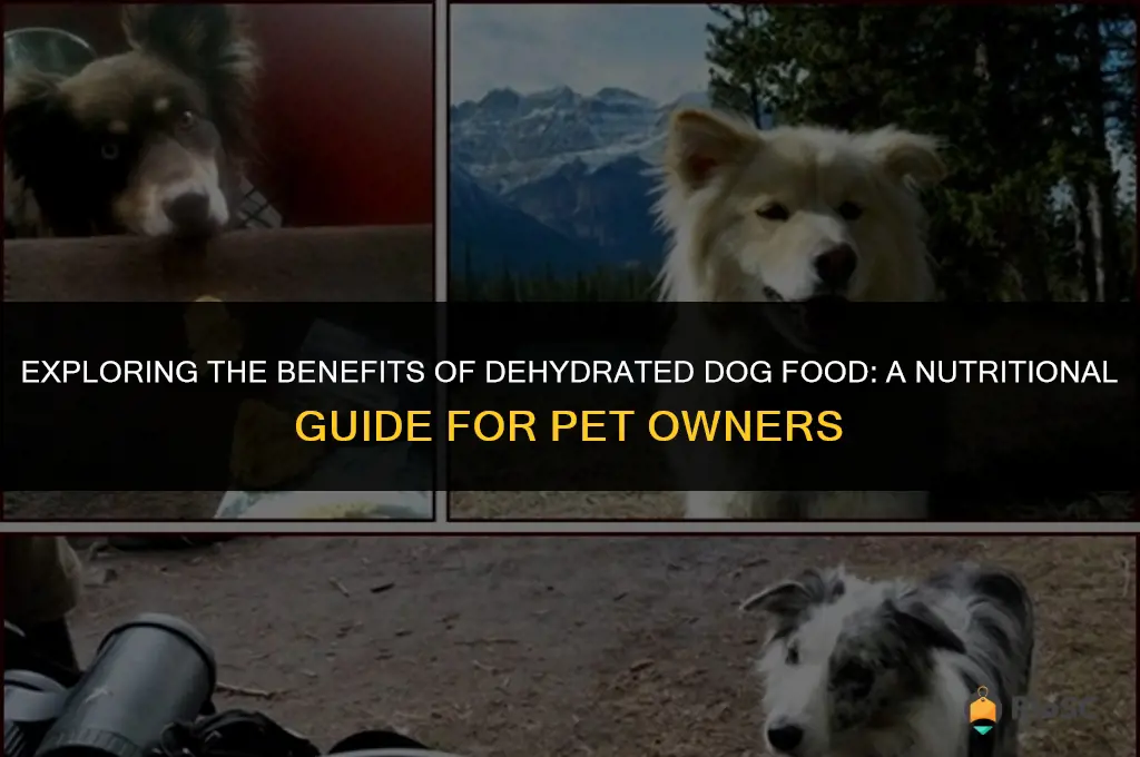 best dehydrate dog food