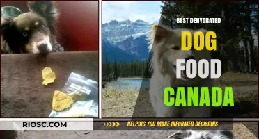 Top Picks for Dehydrated Dog Food in Canada: A Comprehensive Guide