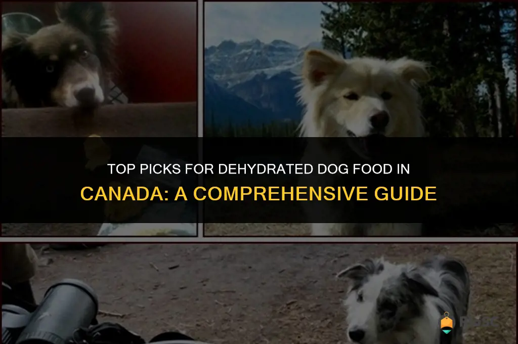 best dehydrated dog food canada