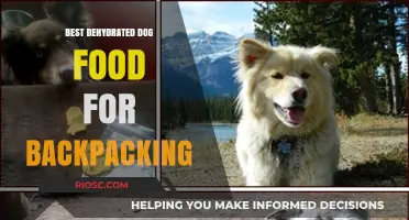 Top Dehydrated Dog Food Options for Backpacking Adventures
