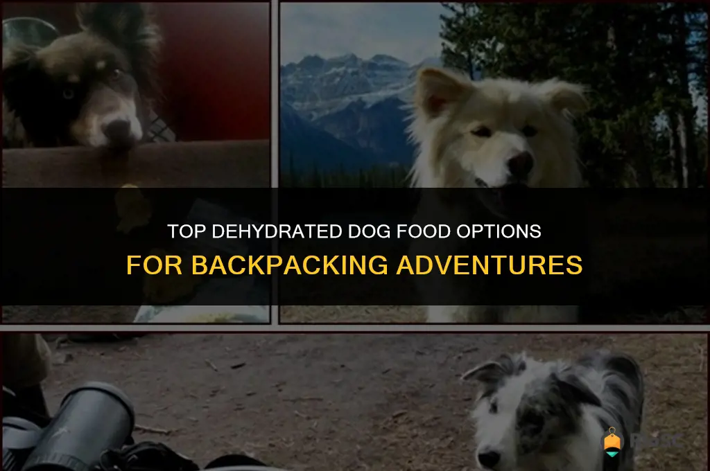 best dehydrated dog food for backpacking