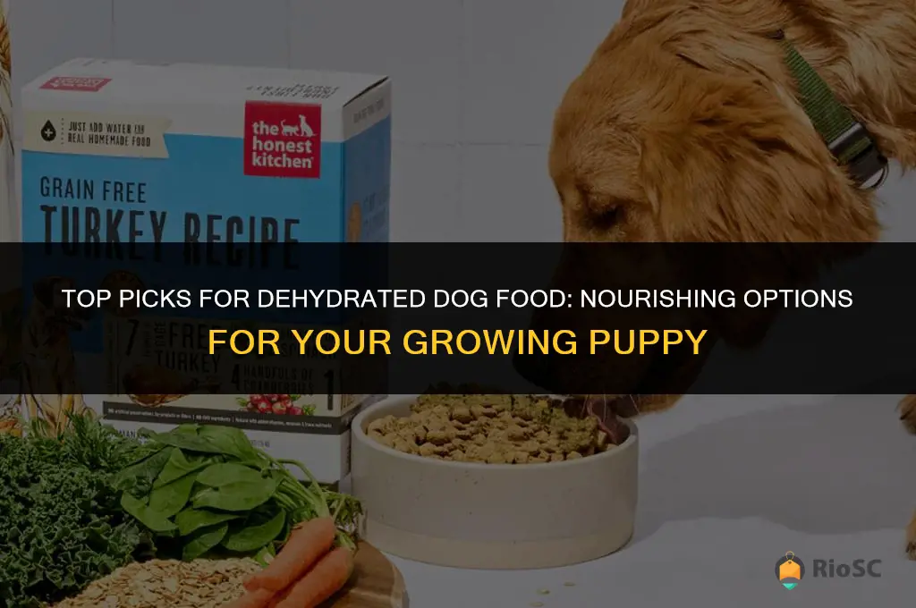 best dehydrated dog food for puppies