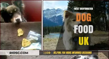 Top Picks for Dehydrated Dog Food in the UK: A Comprehensive Guide