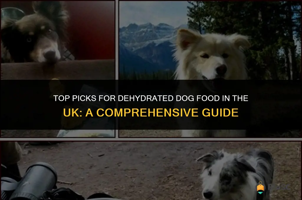 best dehydrated dog food uk