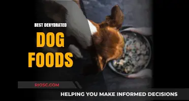 Top-Rated Dehydrated Dog Foods: Nutritious and Convenient Options for Your Canine Companion