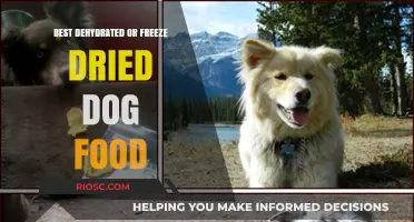 Top Picks for Dehydrated and Freeze-Dried Dog Food: A Comprehensive Guide