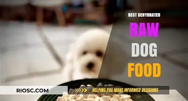 Top Picks for Premium Dehydrated Raw Dog Food: Nourish Your Pet Naturally