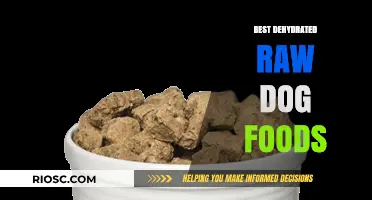 Top Picks for Dehydrated Raw Dog Foods: A Comprehensive Guide