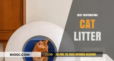Top Picks for Dehydrating Cat Litter: Keeping Your Home Fresh and Odor-Free