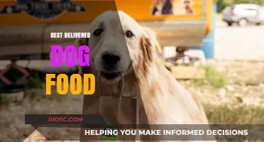 Top-Rated Delivered Dog Food: A Comprehensive Guide to the Best Options for Your Furry Friend